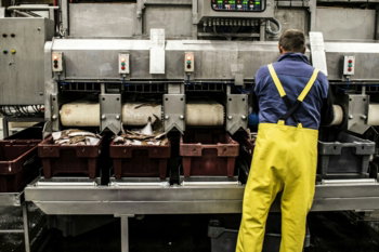 man-in-yellow-pants-standing-in-front-of-food-display.jpg man in yellow pants standing in front of food display